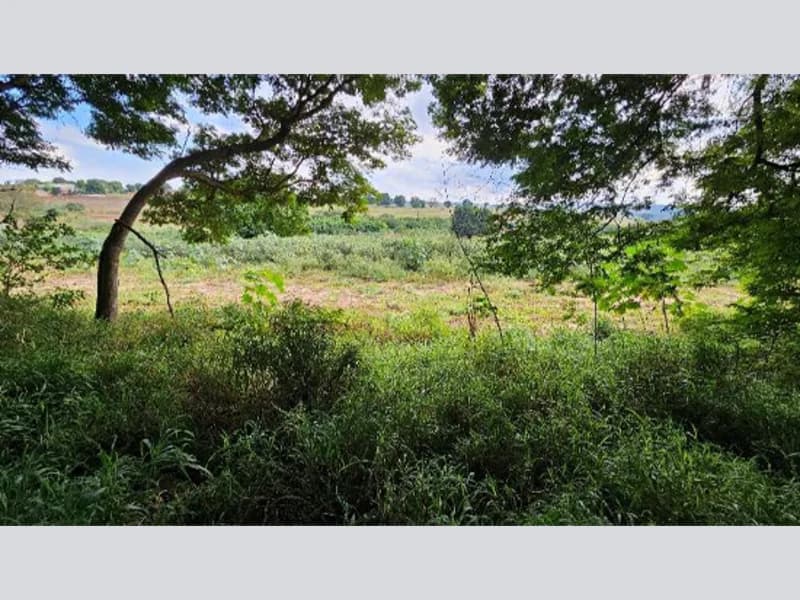 Foto 11 de 27: Terreno em leilão em Cidade Gaúcha - PR — Terreno - Cidade Gaúcha - PR