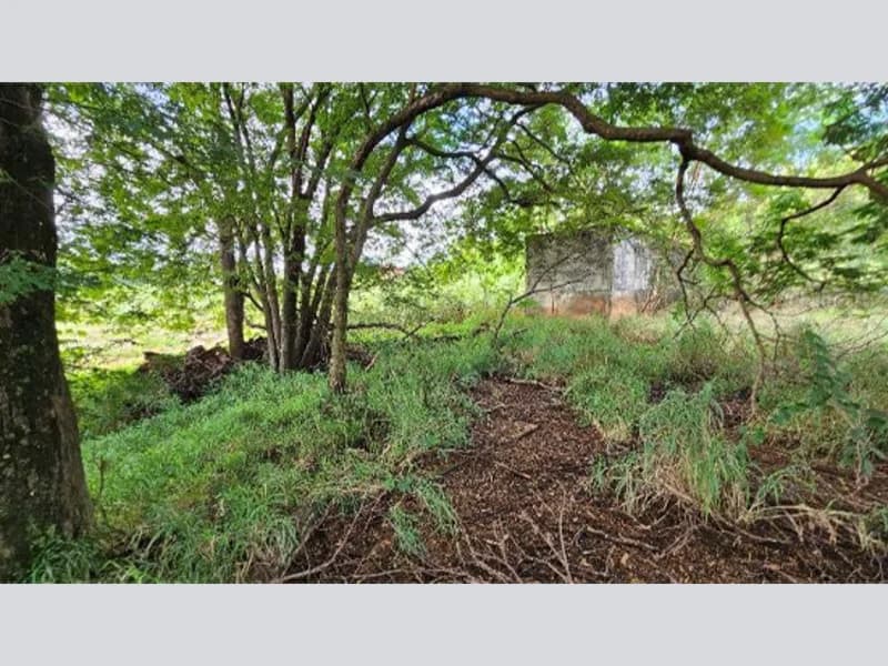 Foto 15 de 27: Terreno em leilão em Cidade Gaúcha - PR — Terreno - Cidade Gaúcha - PR