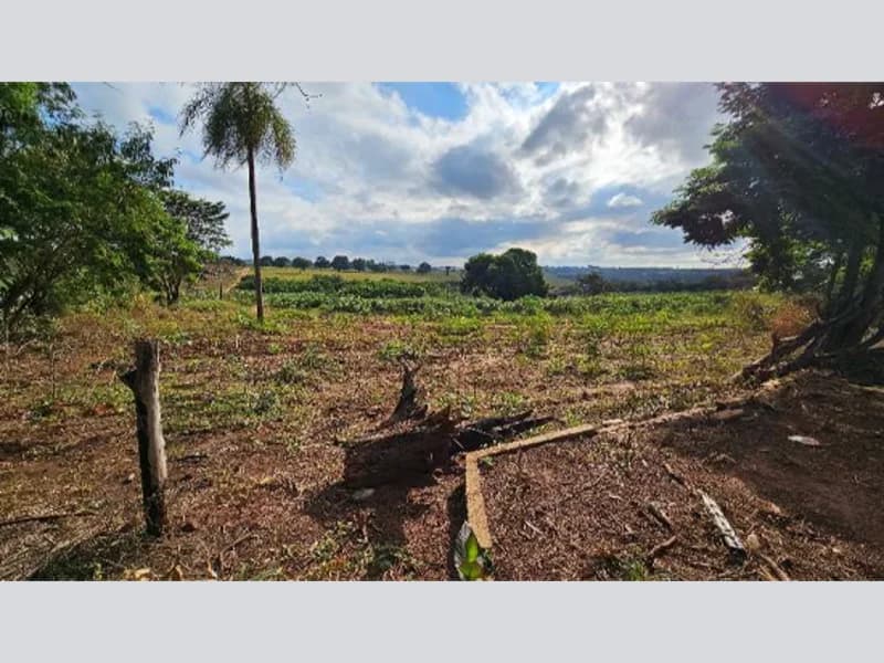 Foto 20 de 27: Terreno em leilão em Cidade Gaúcha - PR — Terreno - Cidade Gaúcha - PR