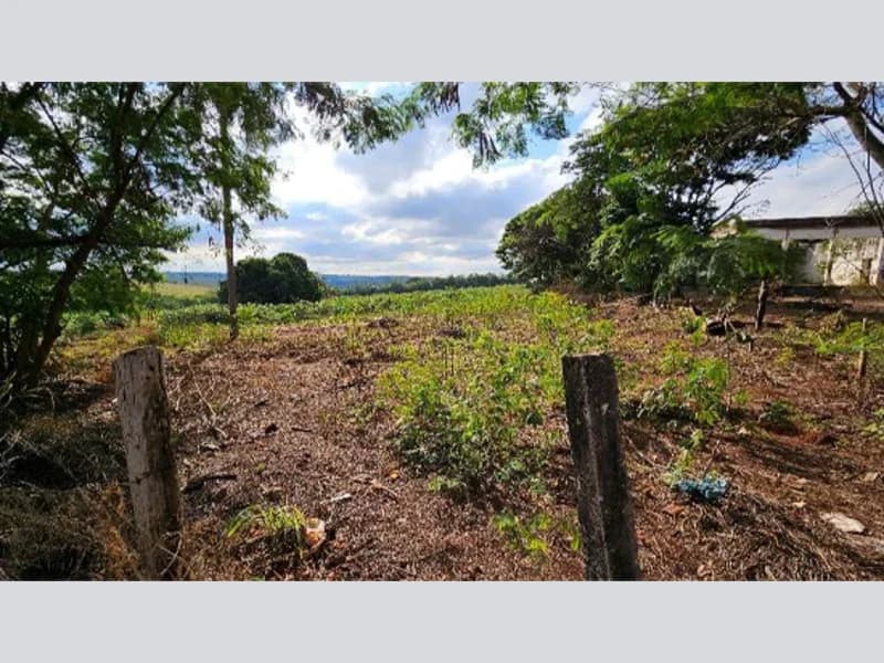 Foto 23 de 27: Terreno em leilão em Cidade Gaúcha - PR — Terreno - Cidade Gaúcha - PR