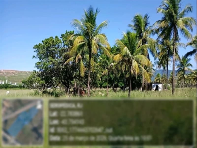 Foto 5 de 12: Terreno em leilão em Seropédica - RJ — Terrenos - Seropédica - RJ