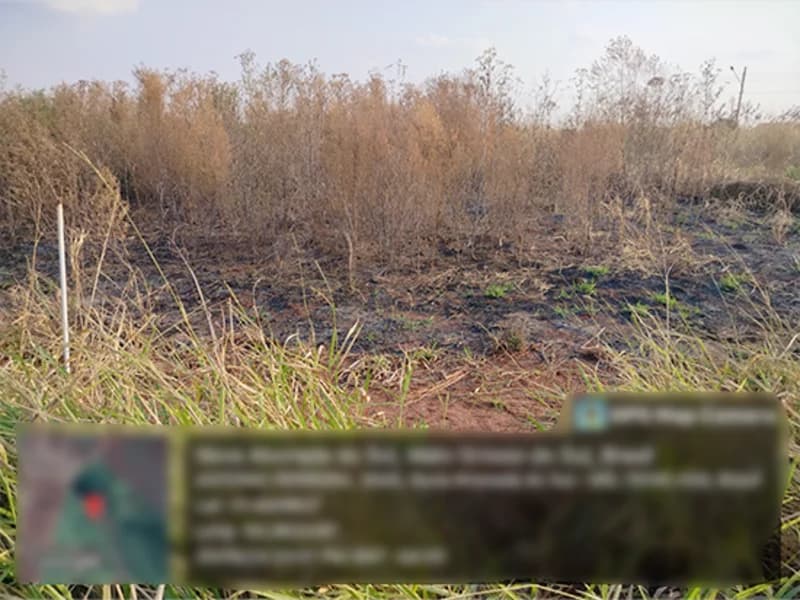 Foto 2 de 4: Terreno em leilão em Nova Alvorada Do Sul - MS — Terreno - Nova Alvorada do Sul - MS