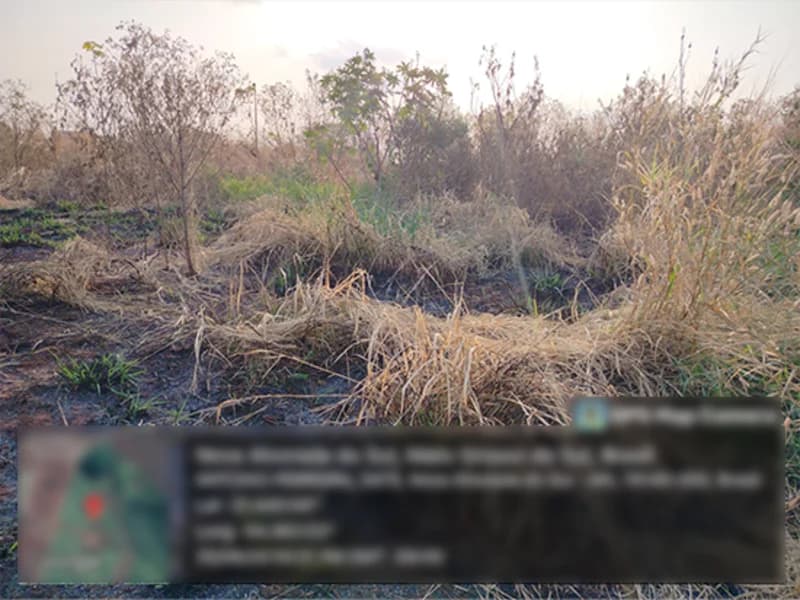 Foto 4 de 5: Terreno em leilão em Nova Alvorada Do Sul - MS — Terreno - Nova Alvorada do Sul - MS