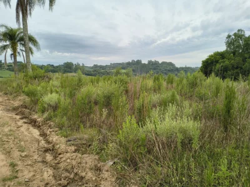 Foto 2 de 7: Terreno em leilão em Canguçu - RS — Fração de terra - Canguçu - RS