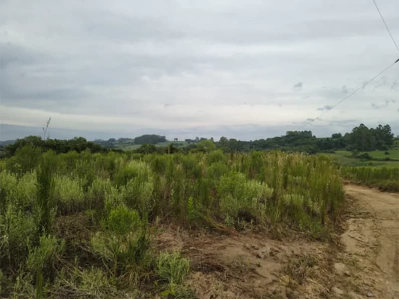 Foto 5 de 7: Terreno em leilão em Canguçu - RS — Fração de terra - Canguçu - RS