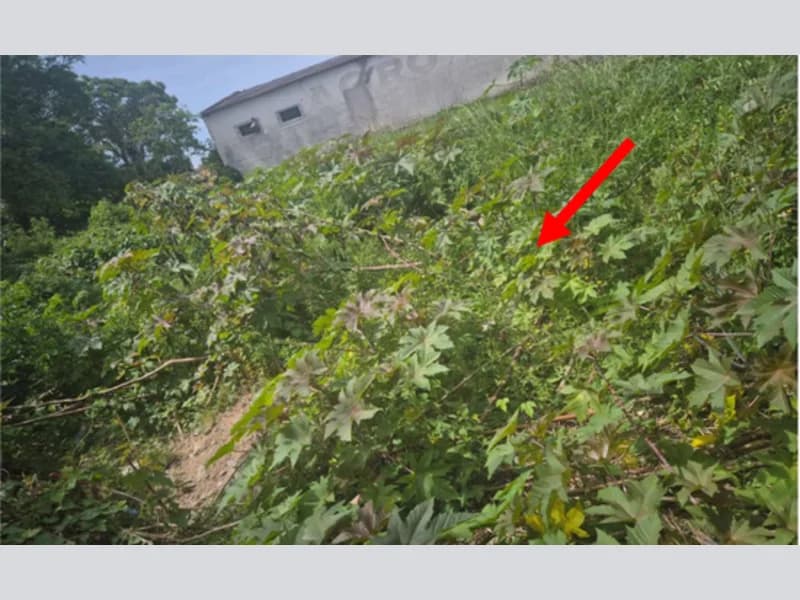 Foto 4 de 7: Terreno em leilão em Pedro Osório - RS, bairro Centro — Terreno - Pedro Osório - RS