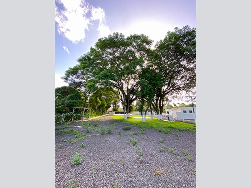 Foto 58 de 67: Terreno em leilão em Viamão - RS, bairro Vila Esperança — Casa - Viamão - RS