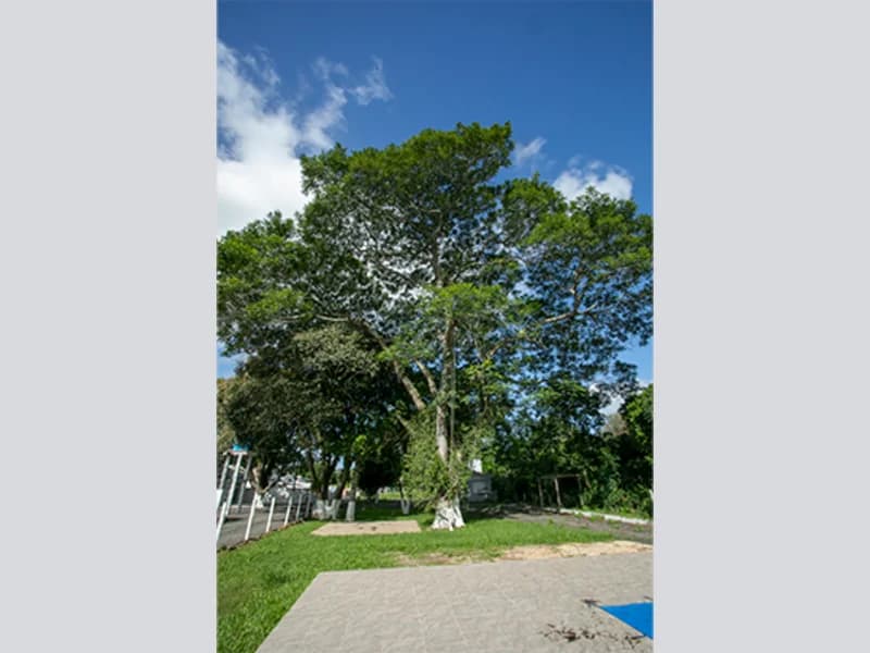 Foto 10 de 67: Terreno em leilão em Viamão - RS, bairro Vila Esperança — Casa - Viamão - RS