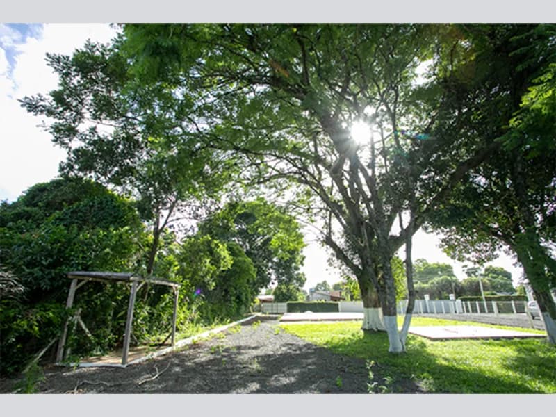 Foto 12 de 67: Terreno em leilão em Viamão - RS, bairro Vila Esperança — Casa - Viamão - RS