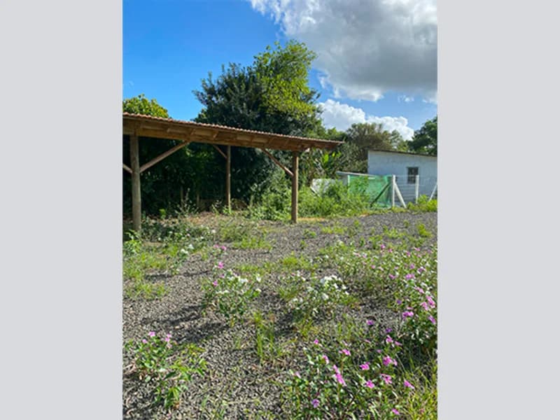Foto 23 de 67: Terreno em leilão em Viamão - RS, bairro Vila Esperança — Casa - Viamão - RS