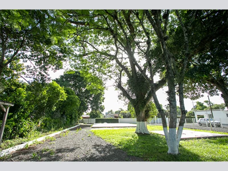 Foto 46 de 67: Terreno em leilão em Viamão - RS, bairro Vila Esperança — Casa - Viamão - RS