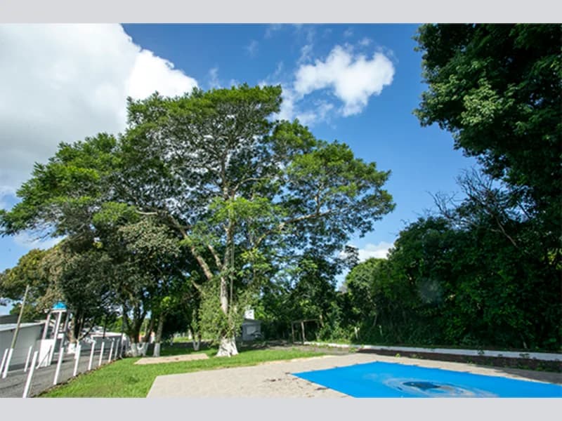 Foto 52 de 67: Terreno em leilão em Viamão - RS, bairro Vila Esperança — Casa - Viamão - RS