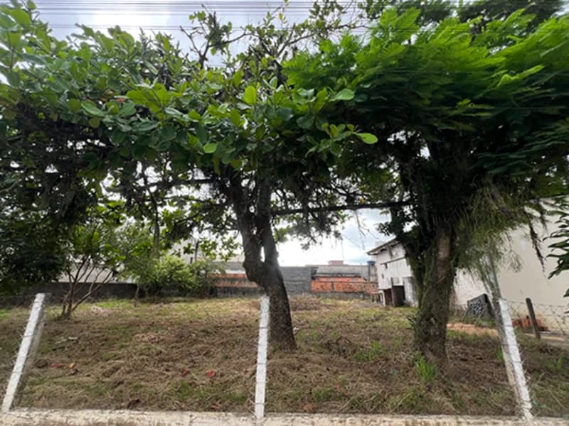 Foto 3 de 4: Terreno em leilão em Tijucas - SC, bairro Centro — Terreno - Tijucas - SC