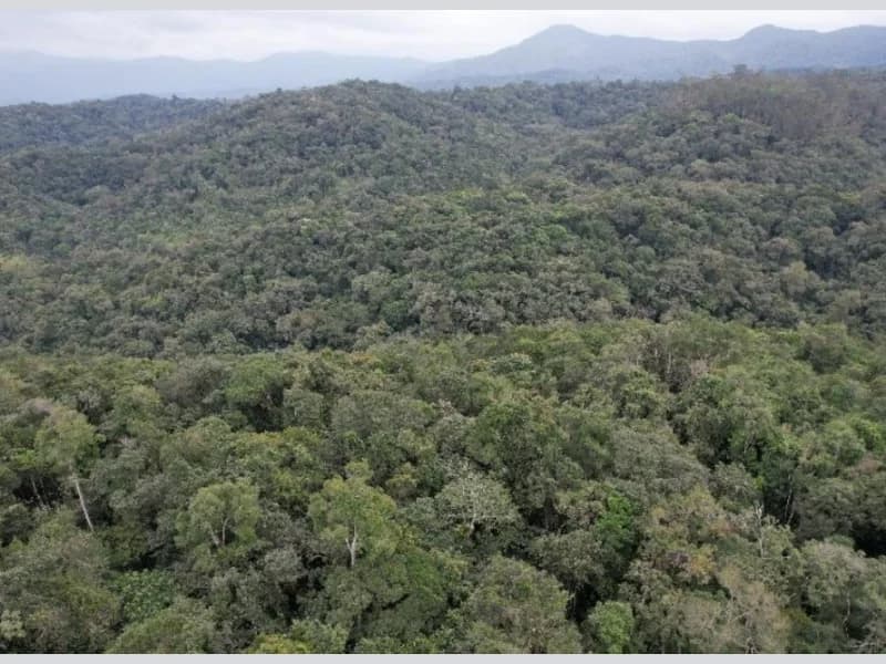 Terreno em leilão em Brusque - SC, bairro São Pedro — Terreno - Brusque - SC