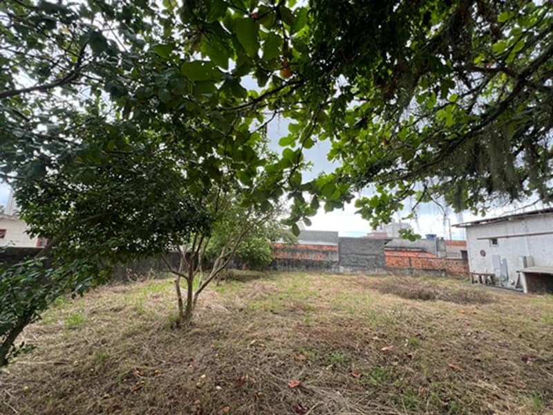 Foto 2 de 7: Terreno em leilão em Bombinhas - SC, bairro Zimbros — Terreno - Bombinhas - SC