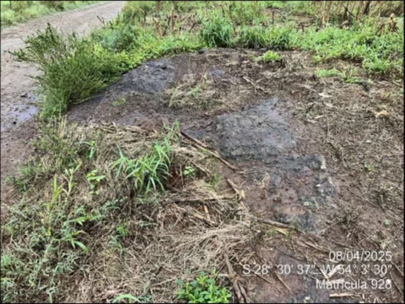 Foto 6 de 63: Terreno em leilão em Maçambará - RS — Fração de terra - Maçambara - RS