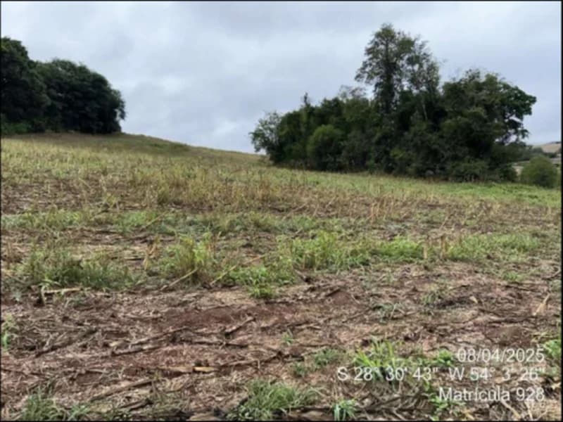 Foto 5 de 63: Terreno em leilão em Maçambará - RS — Fração de terra - Maçambara - RS