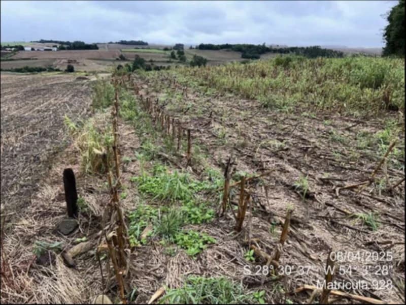 Foto 2 de 63: Terreno em leilão em Maçambará - RS — Fração de terra - Maçambara - RS
