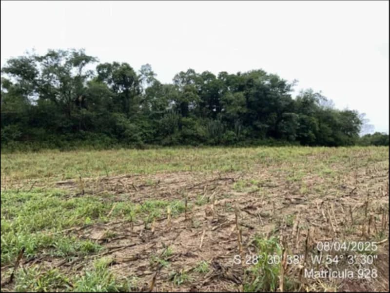 Foto 8 de 63: Terreno em leilão em Maçambará - RS — Fração de terra - Maçambara - RS
