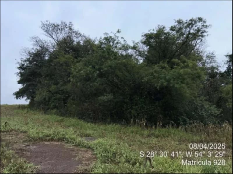 Foto 9 de 63: Terreno em leilão em Maçambará - RS — Fração de terra - Maçambara - RS