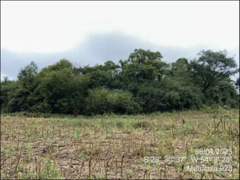 Foto 10 de 63: Terreno em leilão em Maçambará - RS — Fração de terra - Maçambara - RS