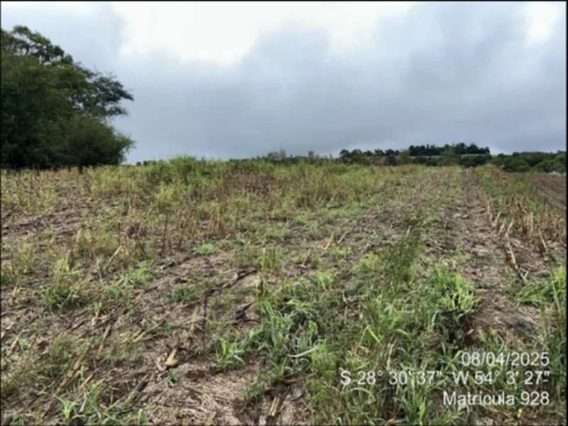 Foto 11 de 63: Terreno em leilão em Maçambará - RS — Fração de terra - Maçambara - RS