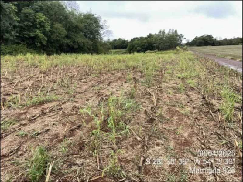 Foto 16 de 63: Terreno em leilão em Maçambará - RS — Fração de terra - Maçambara - RS