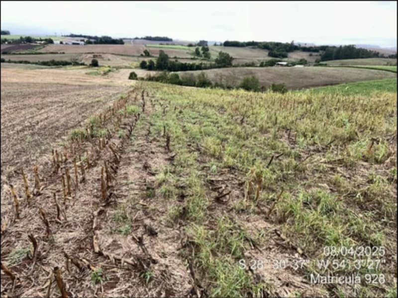 Foto 18 de 63: Terreno em leilão em Maçambará - RS — Fração de terra - Maçambara - RS