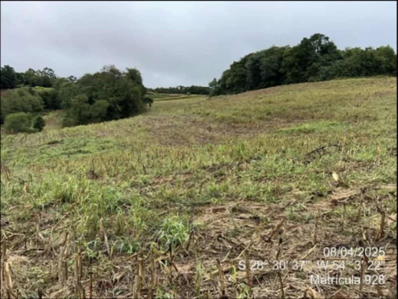 Foto 19 de 63: Terreno em leilão em Maçambará - RS — Fração de terra - Maçambara - RS