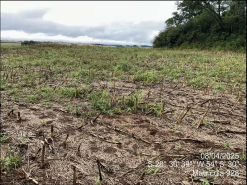 Foto 17 de 63: Terreno em leilão em Maçambará - RS — Fração de terra - Maçambara - RS