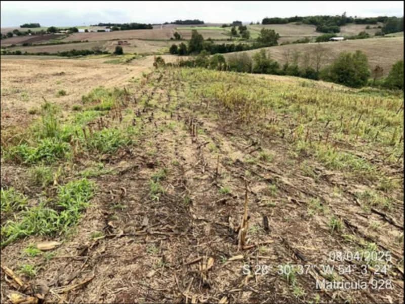 Foto 23 de 63: Terreno em leilão em Maçambará - RS — Fração de terra - Maçambara - RS