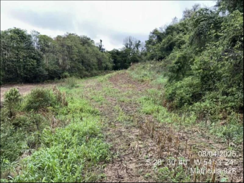 Foto 27 de 63: Terreno em leilão em Maçambará - RS — Fração de terra - Maçambara - RS