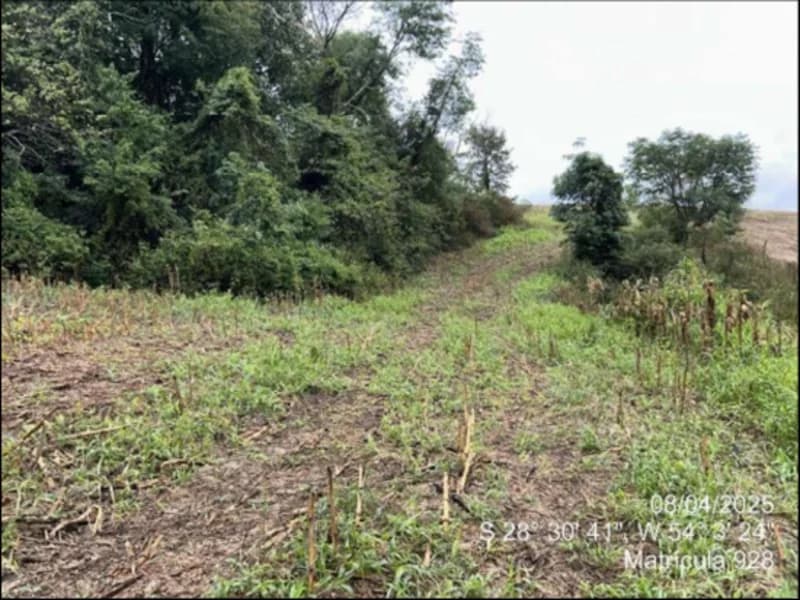 Foto 26 de 63: Terreno em leilão em Maçambará - RS — Fração de terra - Maçambara - RS