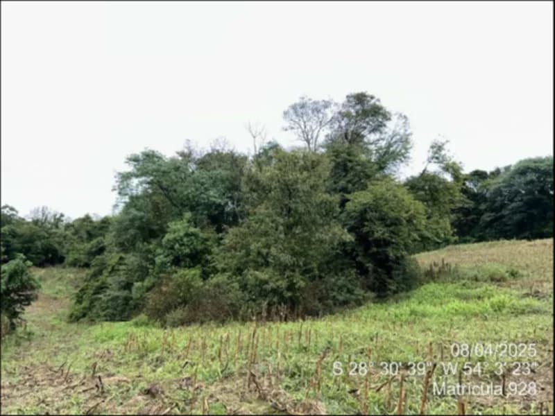 Foto 29 de 63: Terreno em leilão em Maçambará - RS — Fração de terra - Maçambara - RS