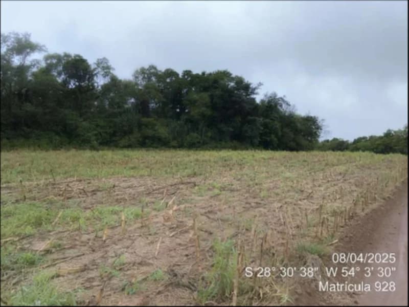 Foto 33 de 63: Terreno em leilão em Maçambará - RS — Fração de terra - Maçambara - RS