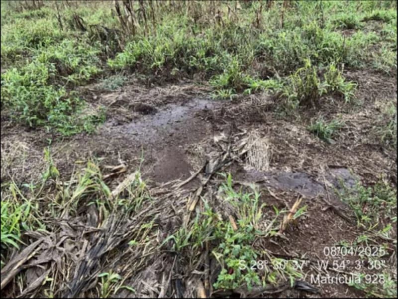 Foto 32 de 63: Terreno em leilão em Maçambará - RS — Fração de terra - Maçambara - RS