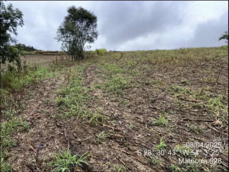 Foto 36 de 63: Terreno em leilão em Maçambará - RS — Fração de terra - Maçambara - RS
