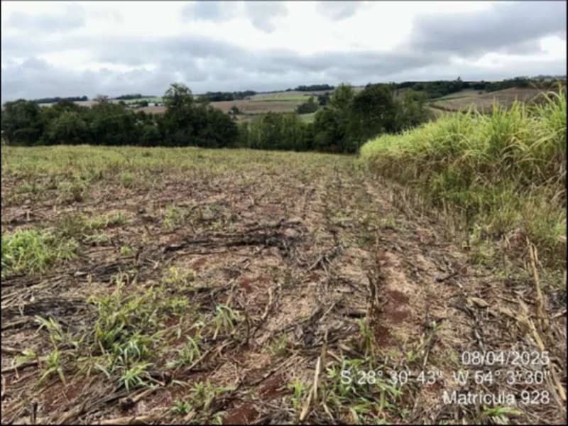 Foto 35 de 63: Terreno em leilão em Maçambará - RS — Fração de terra - Maçambara - RS
