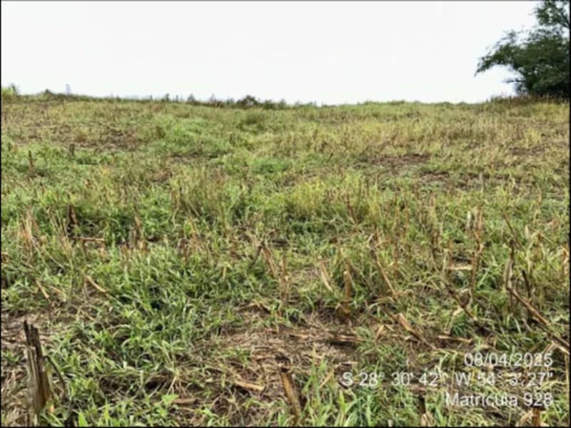 Foto 34 de 63: Terreno em leilão em Maçambará - RS — Fração de terra - Maçambara - RS
