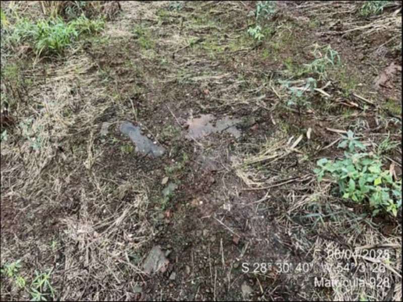 Foto 37 de 63: Terreno em leilão em Maçambará - RS — Fração de terra - Maçambara - RS