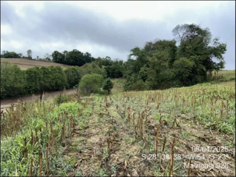 Foto 43 de 63: Terreno em leilão em Maçambará - RS — Fração de terra - Maçambara - RS