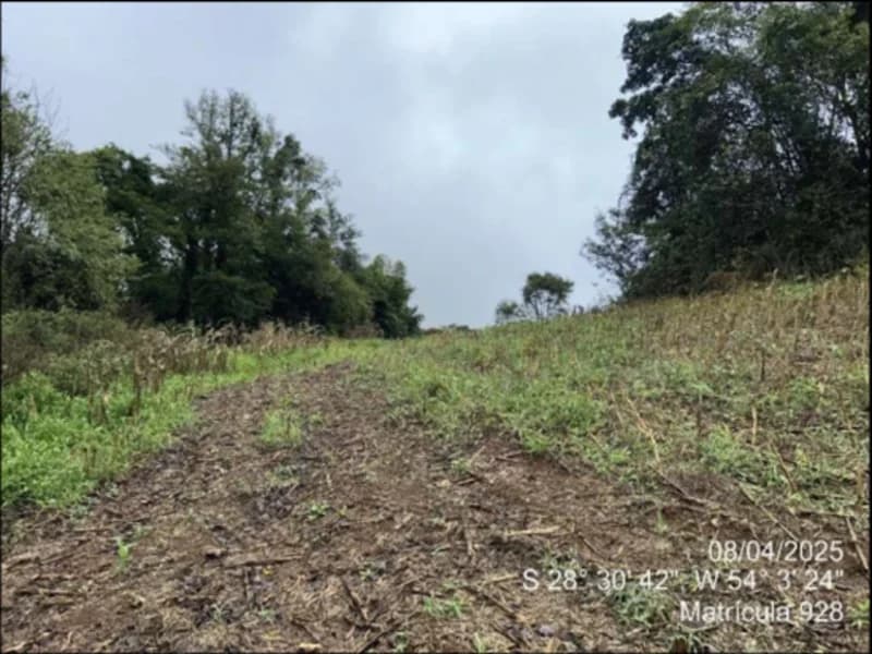 Foto 44 de 63: Terreno em leilão em Maçambará - RS — Fração de terra - Maçambara - RS