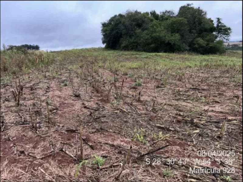 Foto 42 de 63: Terreno em leilão em Maçambará - RS — Fração de terra - Maçambara - RS