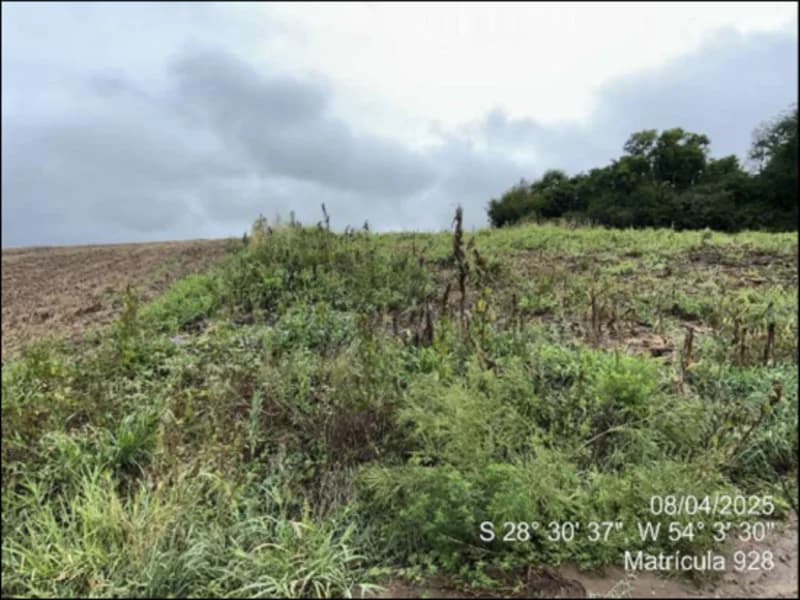 Foto 46 de 63: Terreno em leilão em Maçambará - RS — Fração de terra - Maçambara - RS