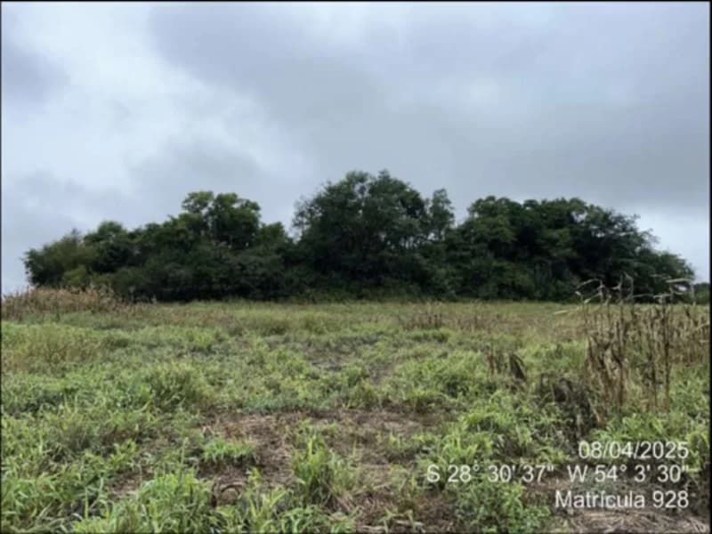 Foto 50 de 63: Terreno em leilão em Maçambará - RS — Fração de terra - Maçambara - RS