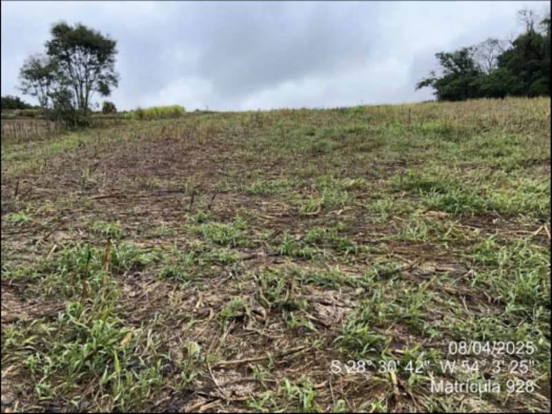 Foto 48 de 63: Terreno em leilão em Maçambará - RS — Fração de terra - Maçambara - RS