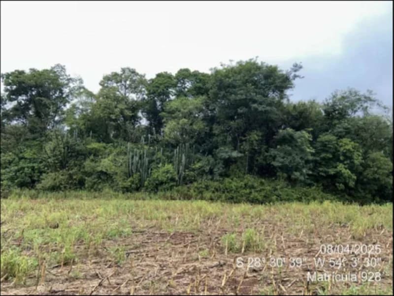 Foto 53 de 63: Terreno em leilão em Maçambará - RS — Fração de terra - Maçambara - RS