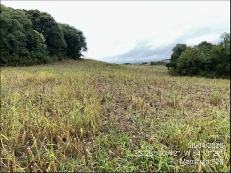 Foto 57 de 63: Terreno em leilão em Maçambará - RS — Fração de terra - Maçambara - RS