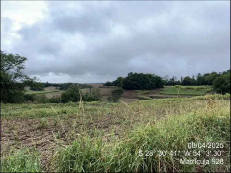 Foto 55 de 63: Terreno em leilão em Maçambará - RS — Fração de terra - Maçambara - RS