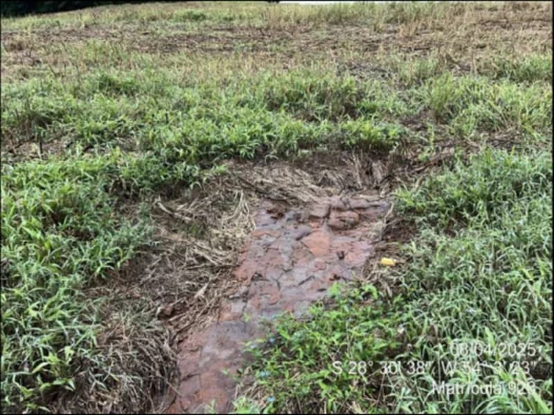 Foto 56 de 63: Terreno em leilão em Maçambará - RS — Fração de terra - Maçambara - RS
